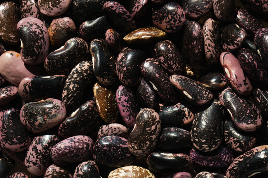 Close view of different beans on a surface with a dark background