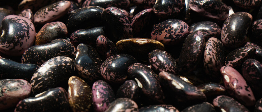 Beans shown in a macro view on a dark background at a close range