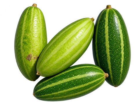 Fresh Green Pointed Gourd Vegetables Isolated on remove Background
