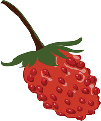 Wild mock strawberry or snake berry cartoon doodle illustration with dark green leaves, long stem, and textured red bumps, hand-drawn summer fruit clipart isolated for stickers, cards, and decoration © Jeerapakrant