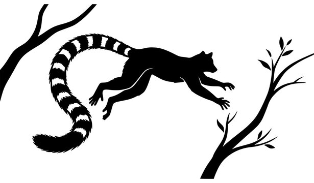 &bull; Ring tailed lemur silhouette jumping between tree branches vector illustration