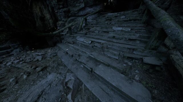 Worn stone steps lead deeper into a shadowy forest, surrounded by twisting roots and mossy stones. An air of mystery surrounds this forgotten path from a bygone era.