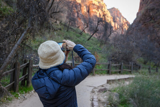 Visitor taking a photo with a smartphone along the paved Riverside Walk trail. Zion National Park, Utah. USA.