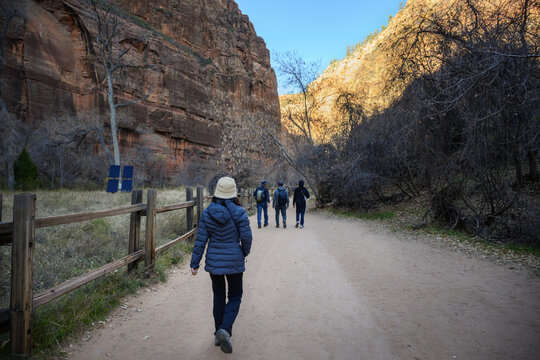 Tourists walking along the Riverside Walk trail in winter. Zion National Park. Utah. USA.