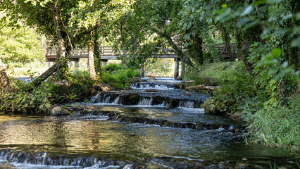 Shallow cascades flow across living tufa barriers in a shaded forest stream at Krka National Park, illustrating karst hydrology, freshwater biodiversity and habitat protection © Evgeniia