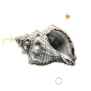 Stylized artistic seashell illustration featuring vintage halftone textures and a star shape for coastal design themes