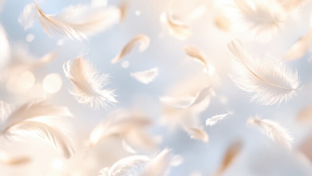 Floating white feathers against softly blurred blue background. Delicate down in warm sunlight. Realistic illustration for bedding comfort, gentle care, purity and spiritual greeting designs.