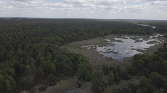 High angle drone shot looking down onto a secluded lake with water lilies surrounded by dense pine forest near Lychen, Brandenburg, Germany.