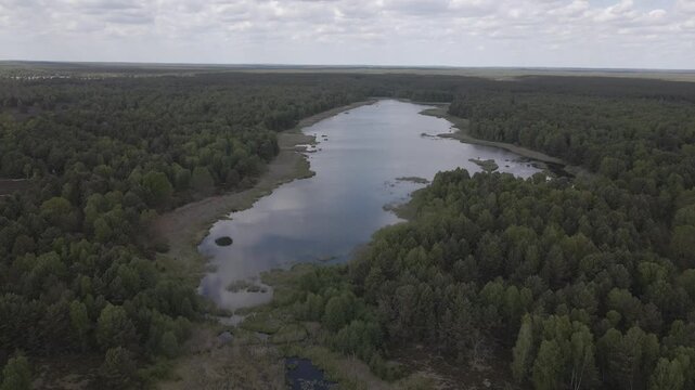 High angle drone shot looking down onto a secluded lake with water lilies surrounded by dense pine forest near Lychen, Brandenburg, Germany.