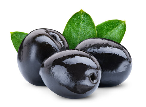 Black olives with green leaves isolated on white background with clipping path. Fresh organic black olive branch. As design element. Full depth of field