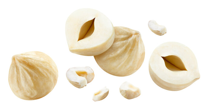 Falling blanched hazelnuts, peeled whole nuts, halves and pieces isolated on white background. Hazelnuts clipping path