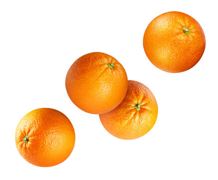 Orange collection set. Citrus fruits isolated on white background. Orange clipping path
