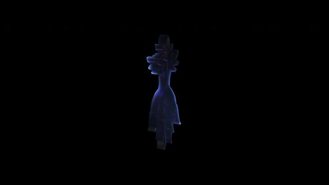 Magical mandrake root growing and dancing in darkness