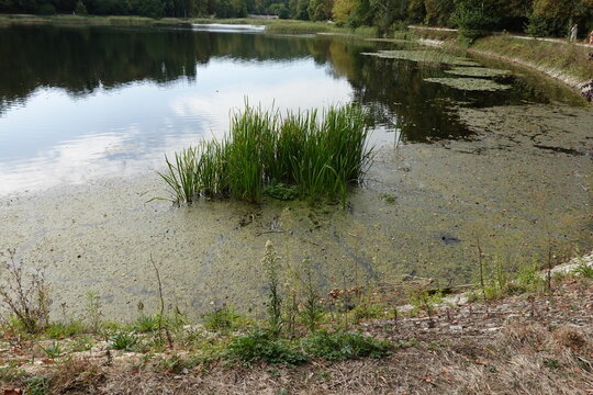 Les Etangs de Corot &agrave; Ville-d'Avray