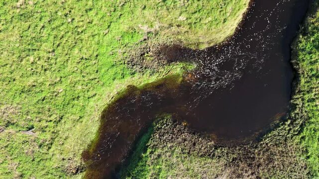 Top-down aerial view of a winding river flowing through a green meadow in slow motion
