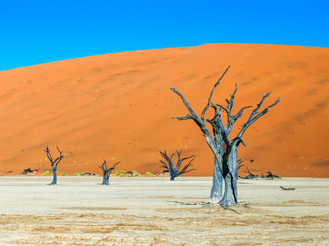 Salzw&uuml;ste Sossusvlei Namibia
