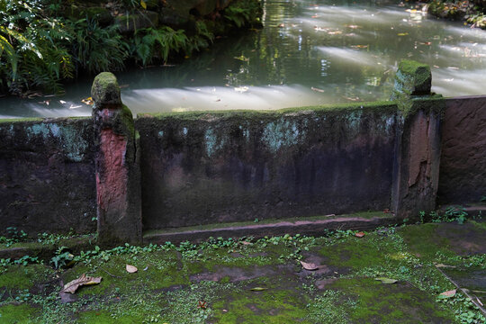 Stone railing fence overgrown with moss