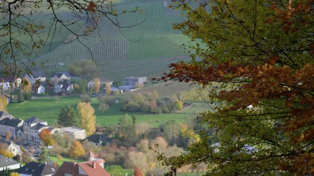 Autumn village view over vineyards and fields in Wellenstein, Luxembourg.