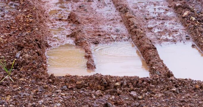 Mud covered with deep tire tracks and water puddles from recent rain. Natural outdoors setting.