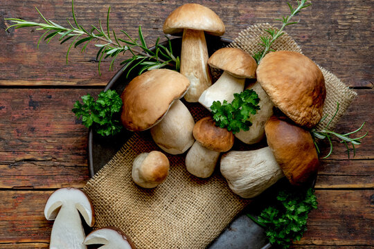 Fresh forest mushrooms, Boletus edulis (king bolete),  penny bun, cep, porcini, mushroom in an old bowl, plate and rosemary parsley herbs on the wooden dark brown table, top view background