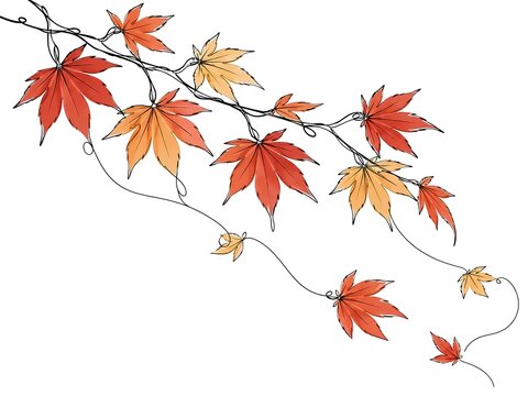 紅葉の一筆書きイラスト
