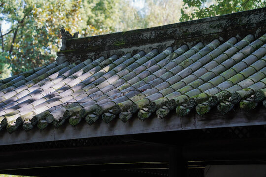 Ancient Chinese Garden: Tiled Roofs, Mossy Tree, and Lush Greenery,  bathed in sunlight, evoking ancient serenity.