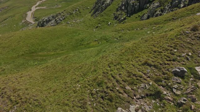 Quiet Transalpina Valley Beneath Rounded Ridge