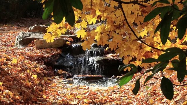 A serene and beautiful autumn scene in a park or forest. A small waterfall flows over rocks amidst fallen orange and brown leaves scattered on the ground.