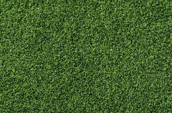 Lush green grass texture background.