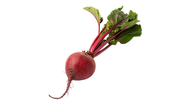 Single fresh raw red beetroot vegetable with leaves isolated on transparent background