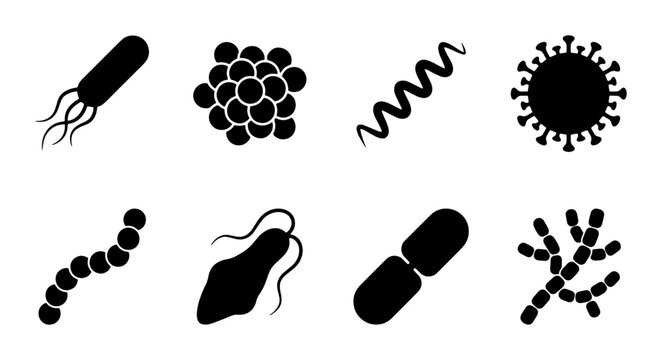 Microorganism silhouettes set with bacteria and virus shapes for science and health