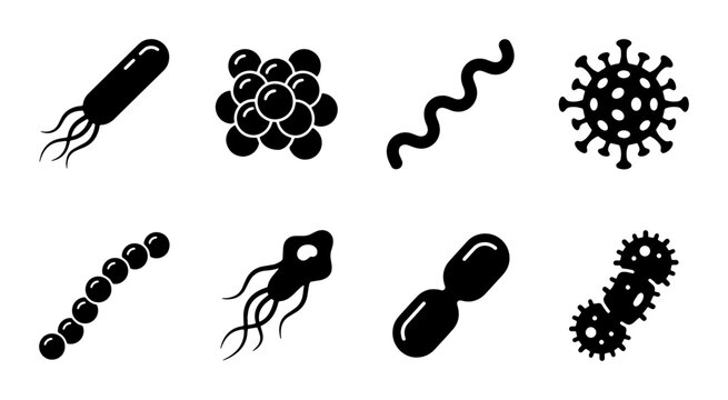 Bacteria and microorganism silhouettes set with bacilli, cocci, spirilla and virus for science and medicine