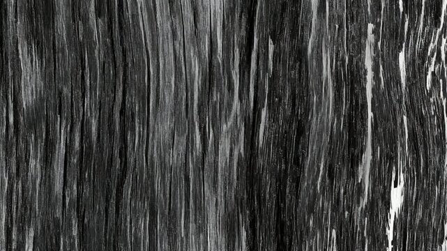 木目とグランジが混ざり合うデュオトーンの抽象モーション