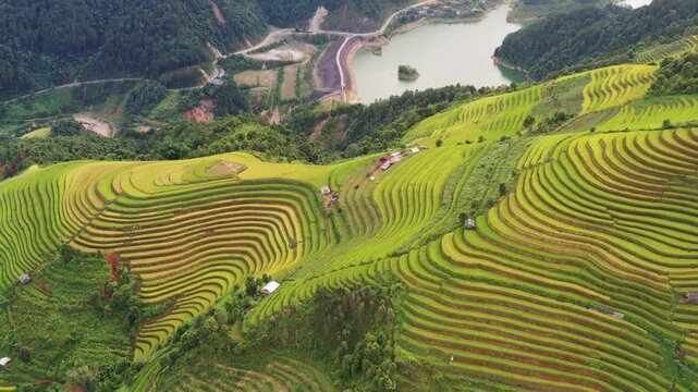 Cinematic drone pan of the surreal, untouched golden rice terraces in Lao Chai near Mu Cang Chai, Vietnam.