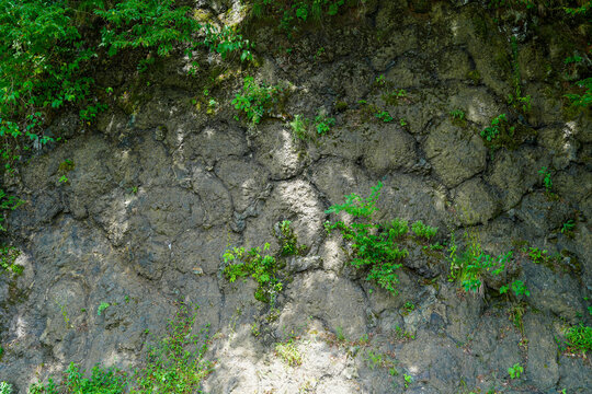 Pillow Lava Rock Outcrop with Green Vegetation near Fossa Magna Park in Itoigawa, Niigata, Japan