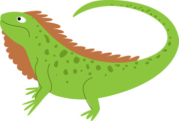 Obraz premium Green iguana lizard cartoon character looking up