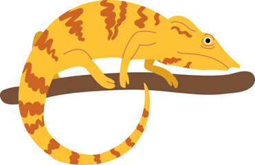 Yellow chameleon with orange stripes sitting on a brown branch, isolated against white © WinWin