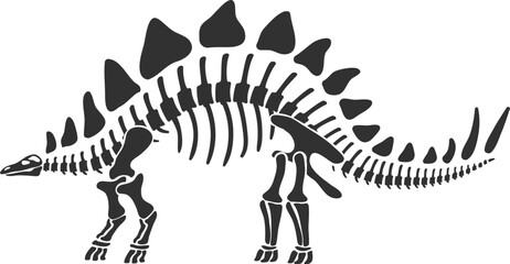 Stegosaurus dinosaur fossil silhouette illustration displaying ancient biology and paleontology concept © WinWin