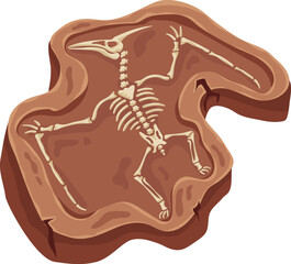 Pterosaur skeleton fossil remaining in a sedimentary rock layer, representing ancient life and discovery © WinWin