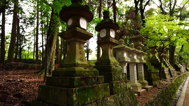 春日大社参道に並ぶ石灯籠と森の風景