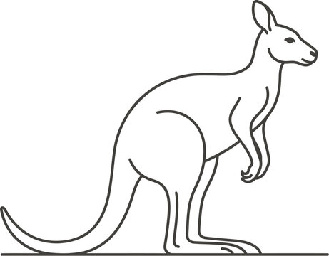 kangaroo vector illustration