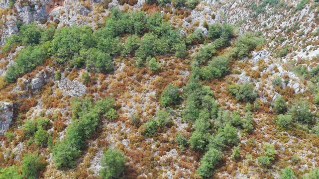 Aerial view of premature foliage yellowing and colorful dry mountain slopes due to severe heatwave near Ainsa, Pyrenees, Spain
