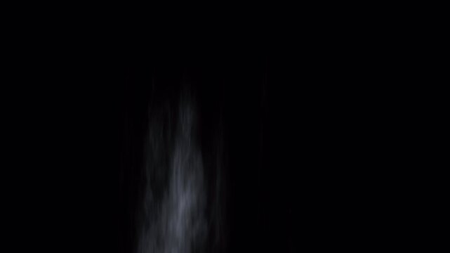 Abstract ethereal light beams rising against a dark background.