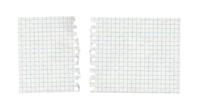 Torn graph paper notebook sheet with grid pattern during daylight isolated on transparent background
