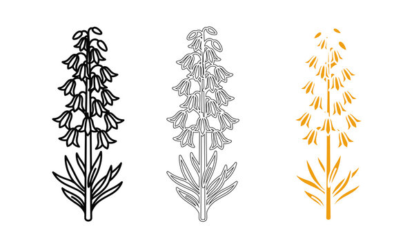Set of three bluebell flower icons in black outline, detailed sketch, and solid gold color style for botanical design and nature illustration projects.