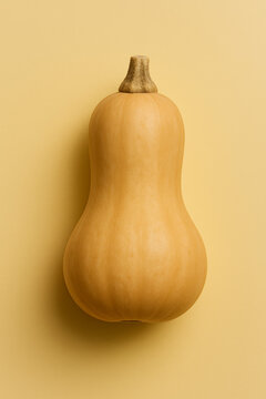 Whole butternut squash with a long neck on pale yellow