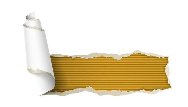 Torn paper with curled gold roll edge and white copy space, peeled paper effect for sale banners, headers, mockups, flyers and promotional graphics.