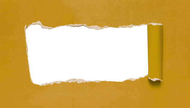 Torn yellow paper with blank white copy space and rolled edge, mustard ripped paper frame for sale banners, text overlays, social media posts and web headers