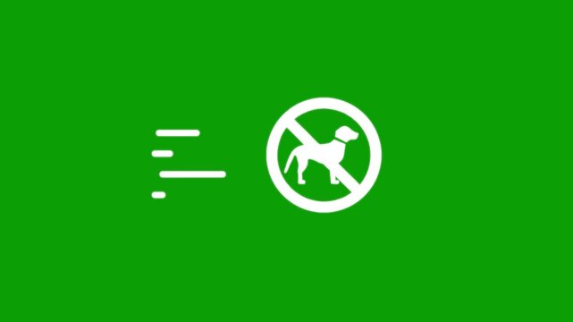 No dogs allowed icon transition motion graphic on green screen background.