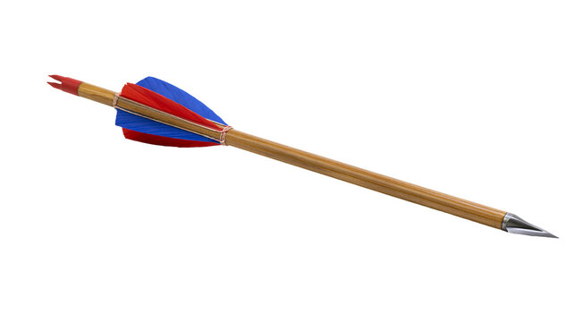 Traditional wooden archery arrow with red and blue fletching and metal tip